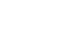 The VYBE